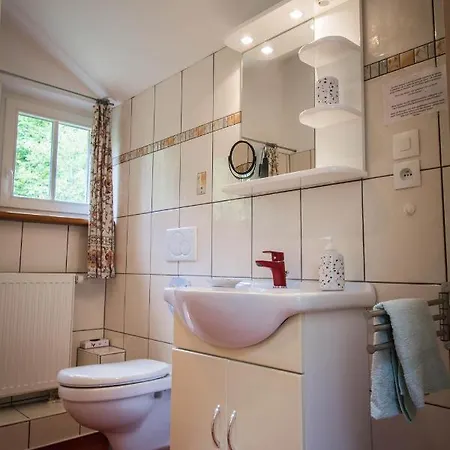 Louisental - Gruppenunterkunft Für Selbstversorger * Le Hohwald